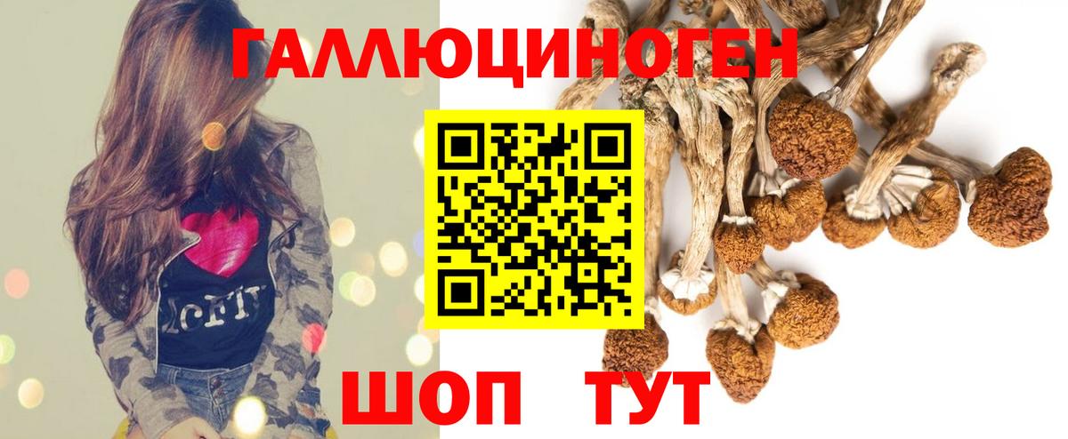 Ессентуки  Галлюциногенные грибы MAGIC MUSHROOMS  дарнет шоп  Вход с VPN 