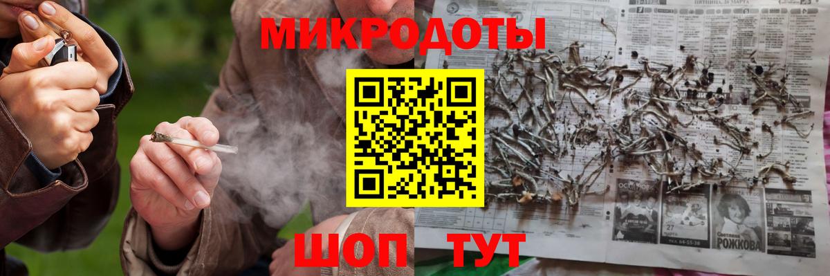 Галлюциногенные грибы Psilocybine cubensis Ессентуки